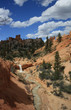Im Bryce Canyon, USA