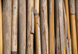 Bamboo background
