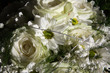 weiße Blumen