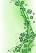 Green clover background