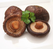 Asiatische Pilze