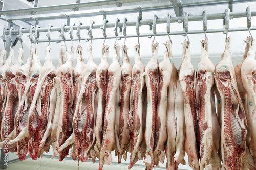 Photo: Slaughter house Slaughter house