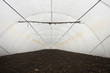 Inside Greenhouse