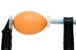 ����: Strength concept with egg and clamp on white � Elnur #20160600