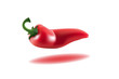 red chilli pepper vector illustration red chilli pepper vector illustration