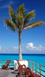 Sweet vacations