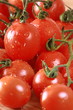 Tomato 01