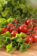 tomato 02
