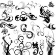 Vector floral set Vector floral set