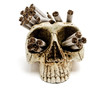 skull with russian cigarettes