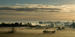 Brume en Normandie 2