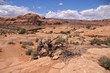 Otherworldly landscape Corona Arch Trail, Moab, near Arches NP