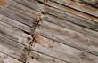 Old boards  texture