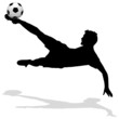 fallrückzieher