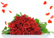 Roses bouquet isolates on white background