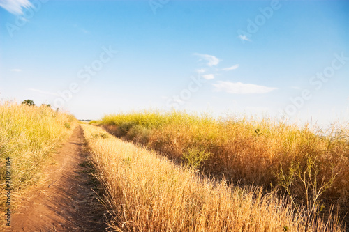 Foto: autumn road autumn road