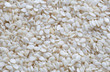 Sesame seeds close up, texture