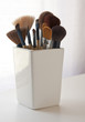 Makeup Brushes in a Jar Makeup Brushes in a Jar