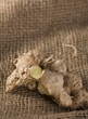 Ginger Root