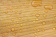 végétal hydrofuge, gaine foliaire palmier
