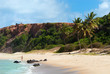 Beautiful beach with palm trees at Praia do Amor Brazil Beautiful beach with palm trees at Praia do Amor Brazil