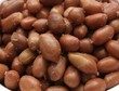 Photo: Roasted peanuts with salt Roasted peanuts with salt