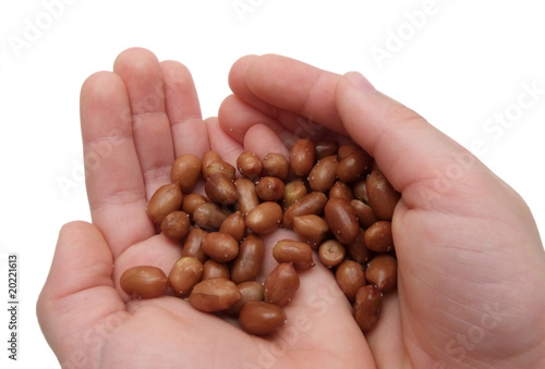 Photo: Child's hand with peanuts Child's hand with peanuts