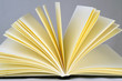 buch