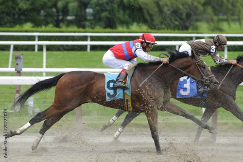 Photo: Horse racing at Belmont Track Long Island NY Horse racing at Belmont Track Long Island NY