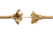 Photo: Frayed rope Frayed rope