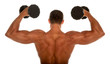 Muscular body builder