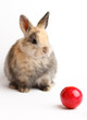Photo: Easter Easter