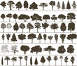 vector trees