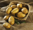 Patate