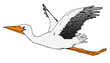 Illustration: Storch, Klapperstorch, Vogel, fliegen Storch, Klapperstorch, Vogel, fliegen