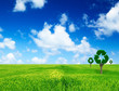 Recycle trees on green field