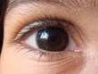 Eye reflects light of an open window Eye reflects light of an open window