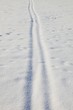 Skispuren im Pulverschnee, winter phat, Schneedecke