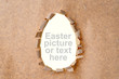 egg shape hole