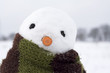snowman snowman