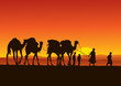 Camel Caravan