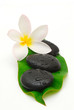wet massage stones