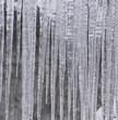 Eiszapfen
