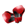 vector boxe gloves isolated vector boxe gloves isolated