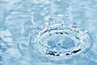 splash