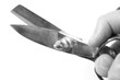 b&w scissors