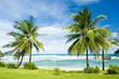Bathsheba, East coast of Barbados, Caribbean