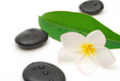 zen stones and flower