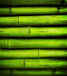 bamboo background