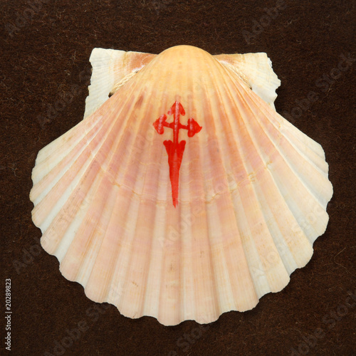 Photo: concha vieira camino de santiago concha vieira camino de santiago